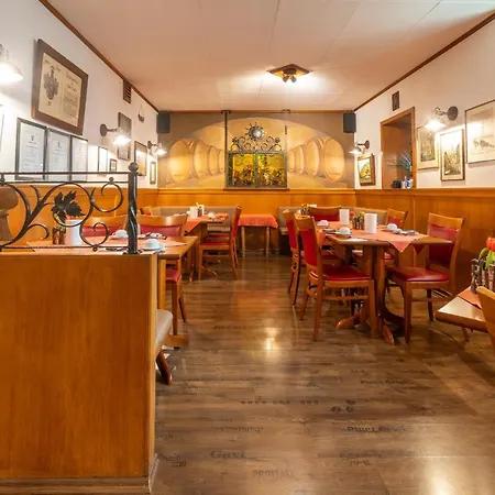Zur Lindenau Guest house