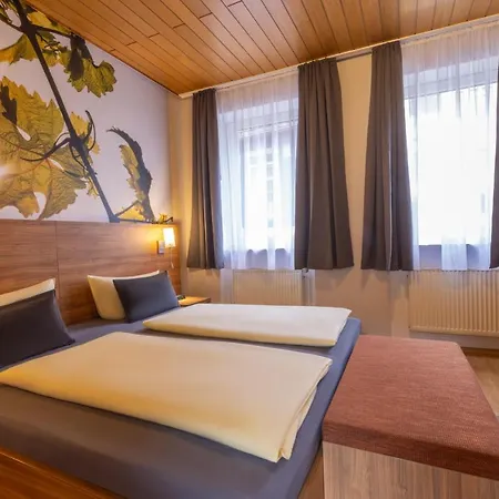 Guest house Zur Lindenau Ruedesheim am Rhein